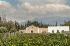 Martino Wines Air B&B